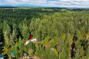 180 E McMickin Rd, Shelton, WA 98584 - Photo 31