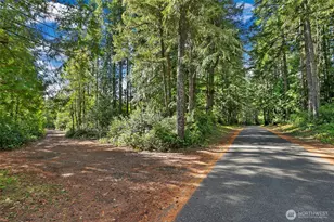 180 E McMickin Rd, Shelton, WA 98584 - Photo 25