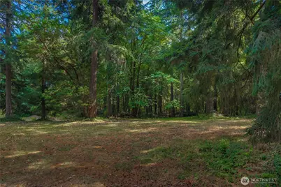14821 134th Ave E, Puyallup, WA 98374 - Photo 11