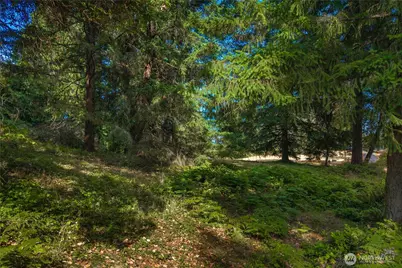 14805 134th Ave E, Puyallup, WA 98374 - Photo 17