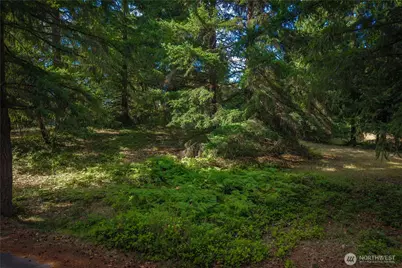 14805 134th Ave E, Puyallup, WA 98374 - Photo 11