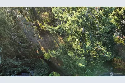 1713 Mike Court NE, Olympia, WA 98506 - Photo 13