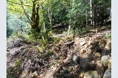 0 Hwy 101, Brinnon, WA 98320 - Photo 15