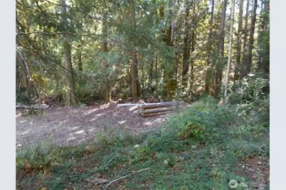 0 Hwy 101, Brinnon, WA 98320 - Photo 3