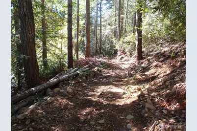 0 Hwy 101, Brinnon, WA 98320 - Photo 25