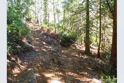 0 Hwy 101, Brinnon, WA 98320 - Photo 11
