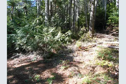 0 Hwy 101, Brinnon, WA 98320 - Photo 33