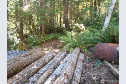 0 Hwy 101, Brinnon, WA 98320 - Photo 39