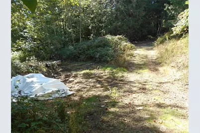 0 Hwy 101, Brinnon, WA 98320 - Photo 13