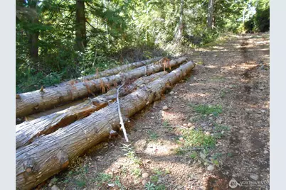 0 Hwy 101, Brinnon, WA 98320 - Photo 21