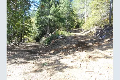 0 Hwy 101, Brinnon, WA 98320 - Photo 7