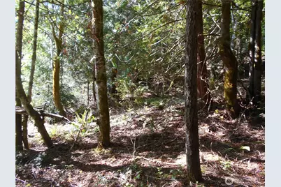 0 Hwy 101, Brinnon, WA 98320 - Photo 19