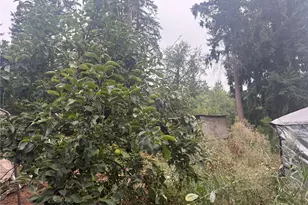 30608 56th Ave S, Roy, WA 98580 - Photo 15