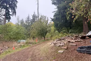30608 56th Ave S, Roy, WA 98580 - Photo 5