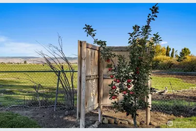 7271 Lyons Road, Ellensburg, WA 98926 - Photo 31