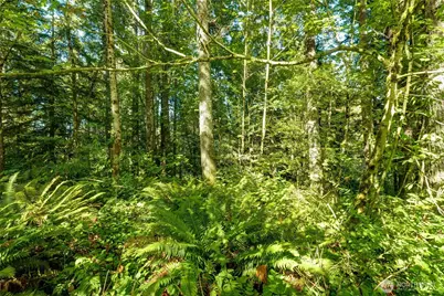 37000 SE 93rd Place, Snoqualmie, WA 98065 - Photo 11