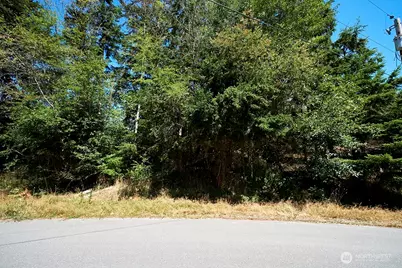 2 & 3 Lot Sycamore Road, Coupeville, WA 98239 - Photo 1