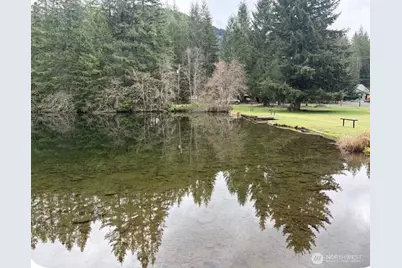 178 Skate Creek Road N, Ashford, WA 98328 - Photo 31