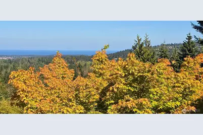 242 Forest Haven Drive, Sequim, WA 98382 - Photo 3