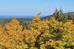 242 Forest Haven Dr, Sequim, WA 98382 - Photo 3
