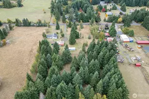 163 Keasling Rd, Chehalis, WA 98532 - Photo 33