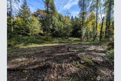 35027 NE 154th Street, Duvall, WA 98019 - Photo 3