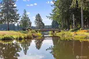 310 E Rd of Tralee, Shelton, WA 98584 - Photo 35