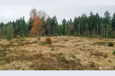 15138 Champion Estate Drive SE, Yelm, WA 98597 - Photo 19