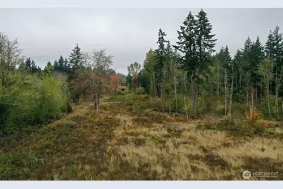 15138 Champion Estate Drive SE, Yelm, WA 98597 - Photo 17
