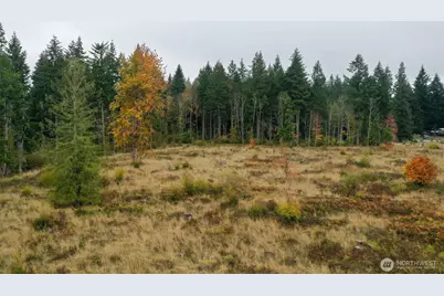 15138 Champion Estate Drive SE, Yelm, WA 98597 - Photo 11