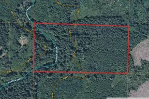 0 Off Of Springfield Rd, Hoquiam, WA 98550 - Photo 1