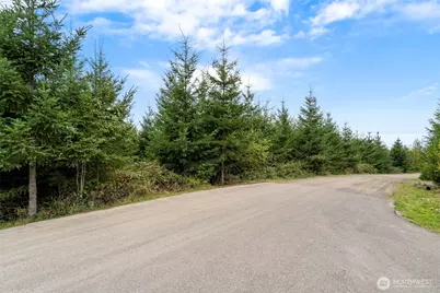 0 Bootjack Lane, Kelso, WA 98626 - Photo 9