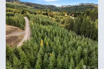 0 Bootjack Lane, Kelso, WA 98626 - Photo 27