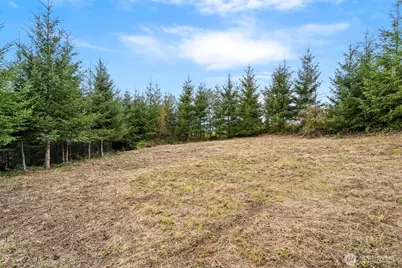 0 Bootjack Lane, Kelso, WA 98626 - Photo 17