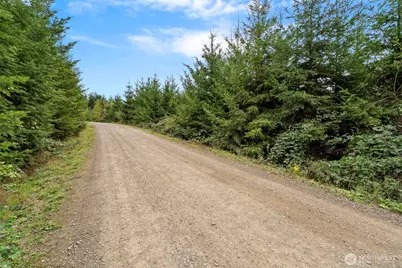 0 Bootjack Lane, Kelso, WA 98626 - Photo 11