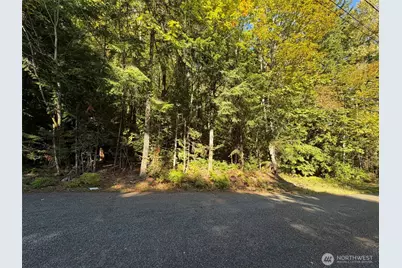 420 Arabian Drive, Brinnon, WA 98320 - Photo 15