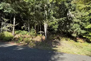 420 Arabian Dr, Brinnon, WA 98320 - Photo 1