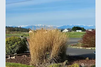 1178 Olson Road, Coupeville, WA 98239 - Photo 35