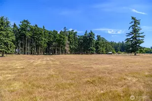 347 Jacobs Rd, Coupeville, WA 98239 - Photo 35