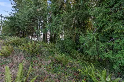 620 Columbia Street, Cathlamet, WA 98612 - Photo 9