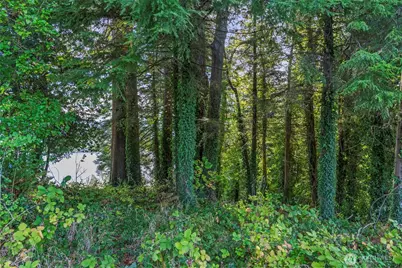 620 Columbia Street, Cathlamet, WA 98612 - Photo 11