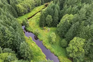 726 Elk Creek Rd, Chehalis, WA 98532 - Photo 13