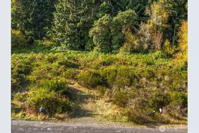 25728 Gold Beach Drive SW, Vashon, WA 98070 - Photo 19