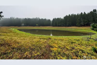210 E Trudder Lane, Union, WA 98592 - Photo 35