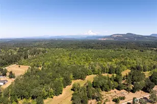 0 173rd Ave SE, Yelm, WA 98597 - Photo 1