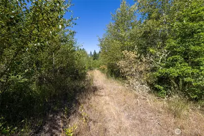 0 173rd Avenue SE, Yelm, WA 98597 - Photo 5