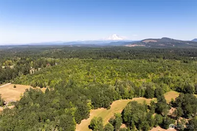 0 173rd Avenue SE, Yelm, WA 98597 - Photo 11