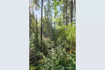 1420 E Timber Tides Drive, Union, WA 98592 - Photo 13