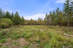 139 N Military Rd, Winlock, WA 98596 - Photo 35
