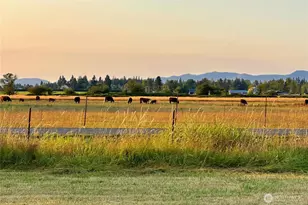 21205 SE 448th St, Enumclaw, WA 98022 - Photo 39